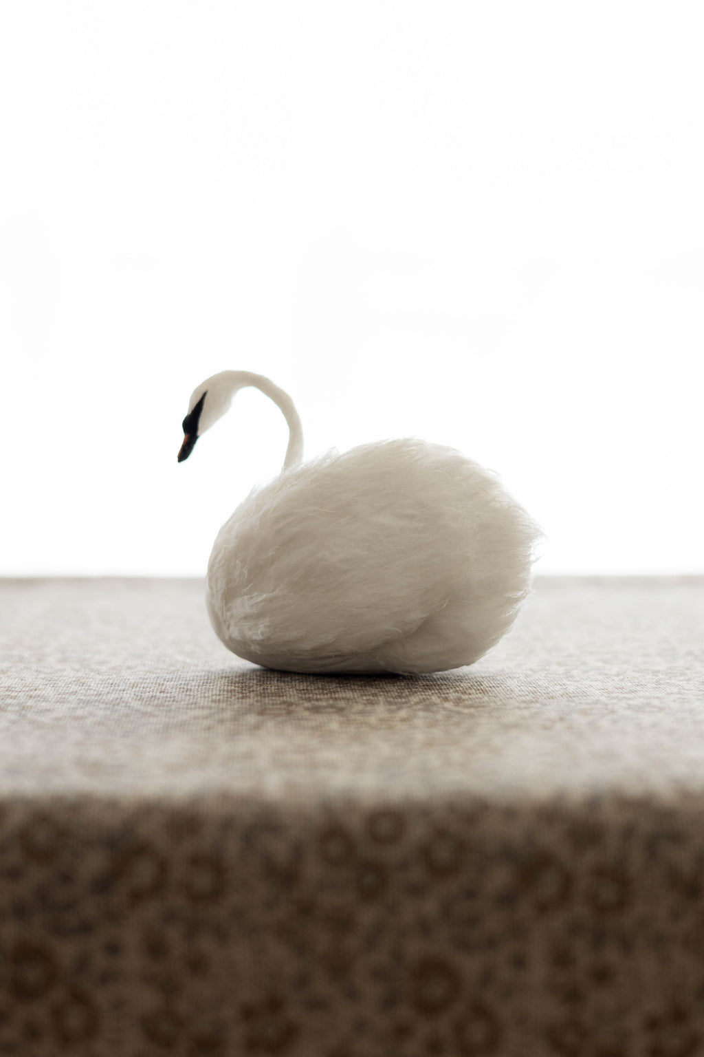 Swan No.001