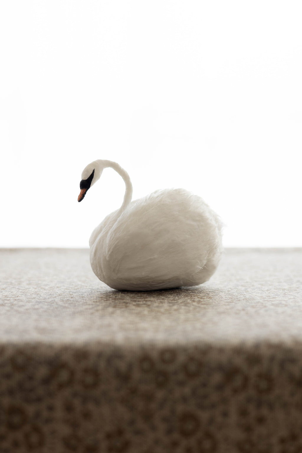 Swan No.001
