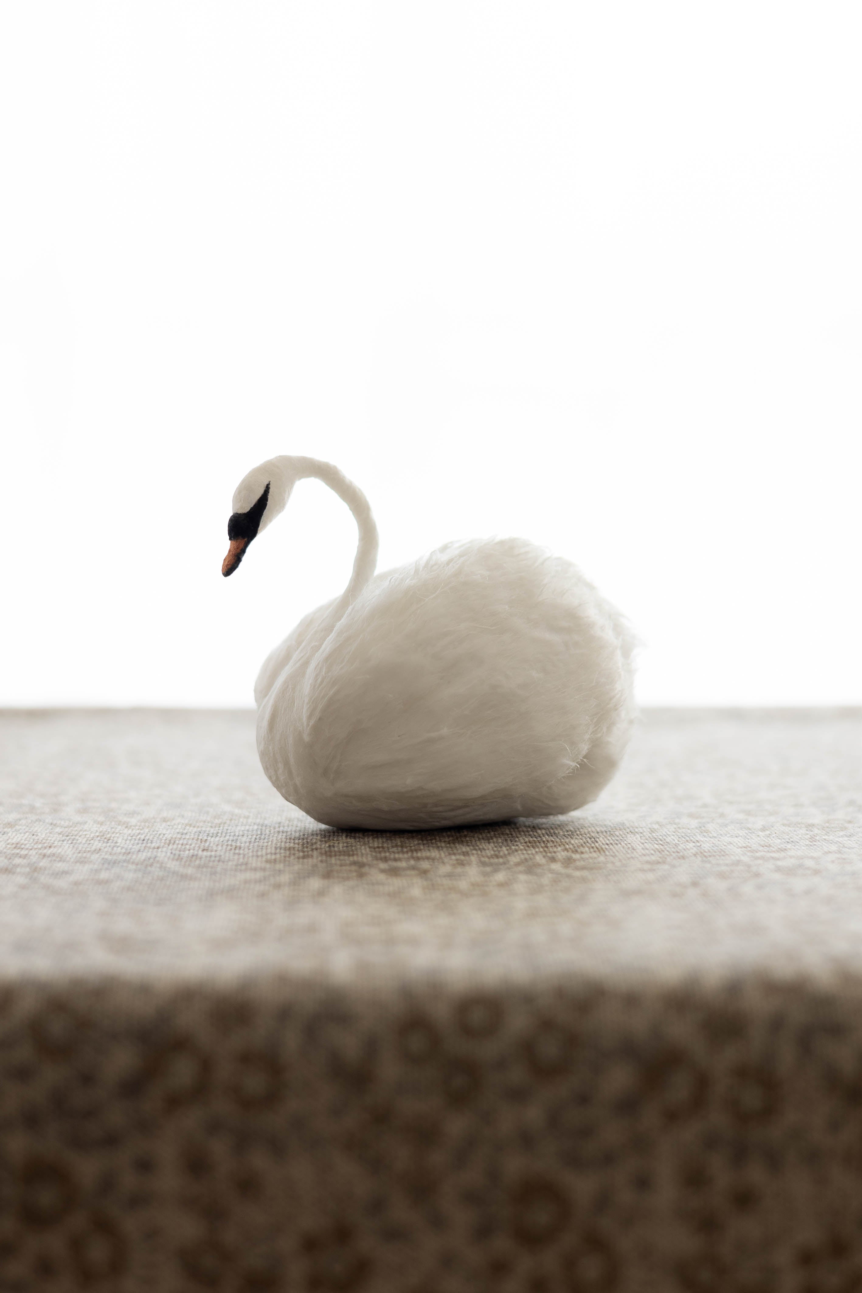 Swan No.001