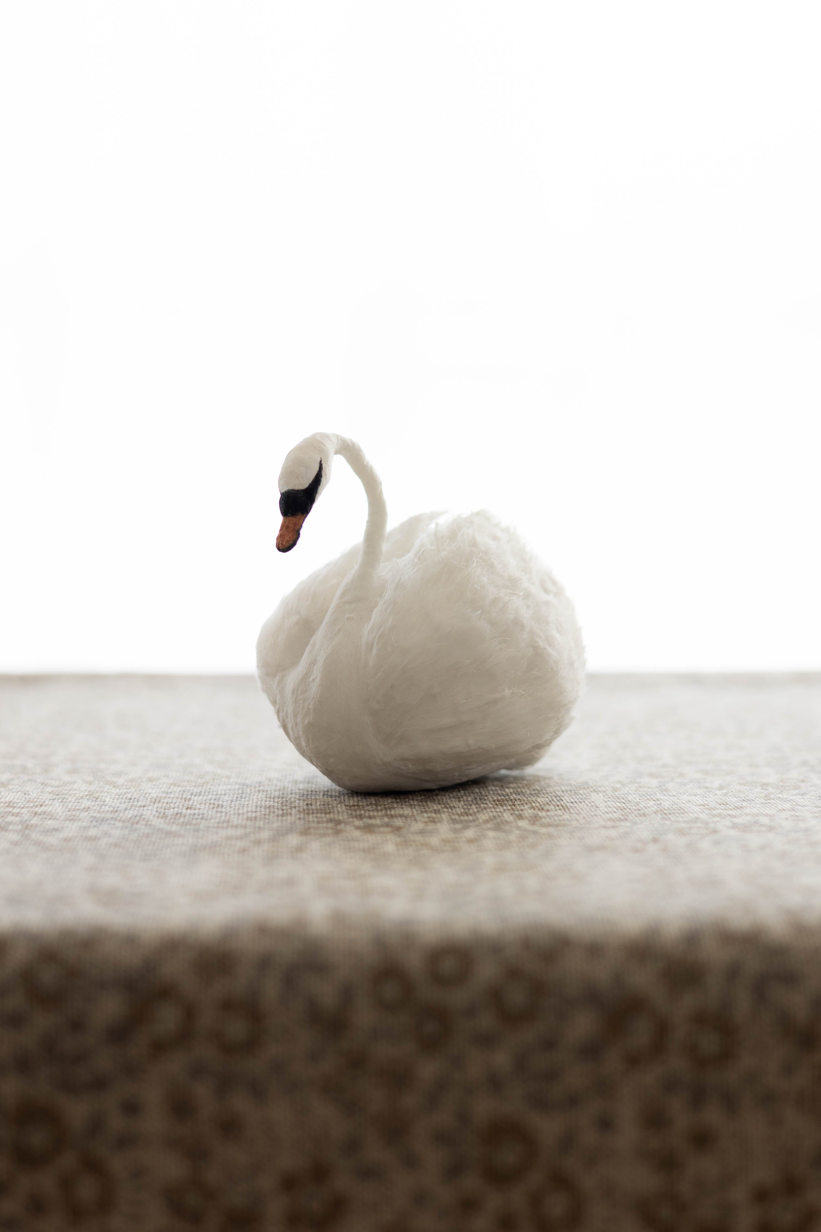 Swan No.001