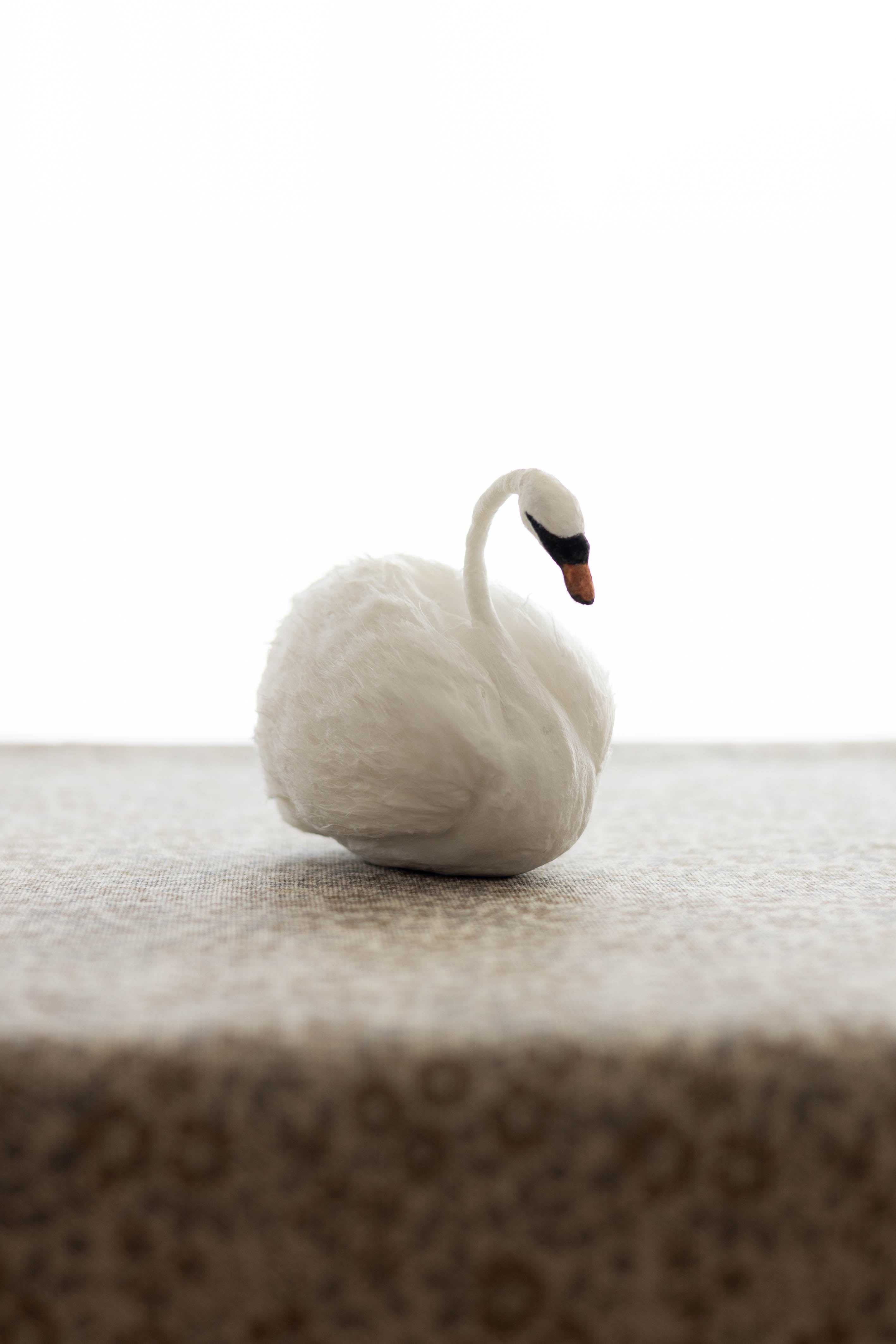 Swan No.001