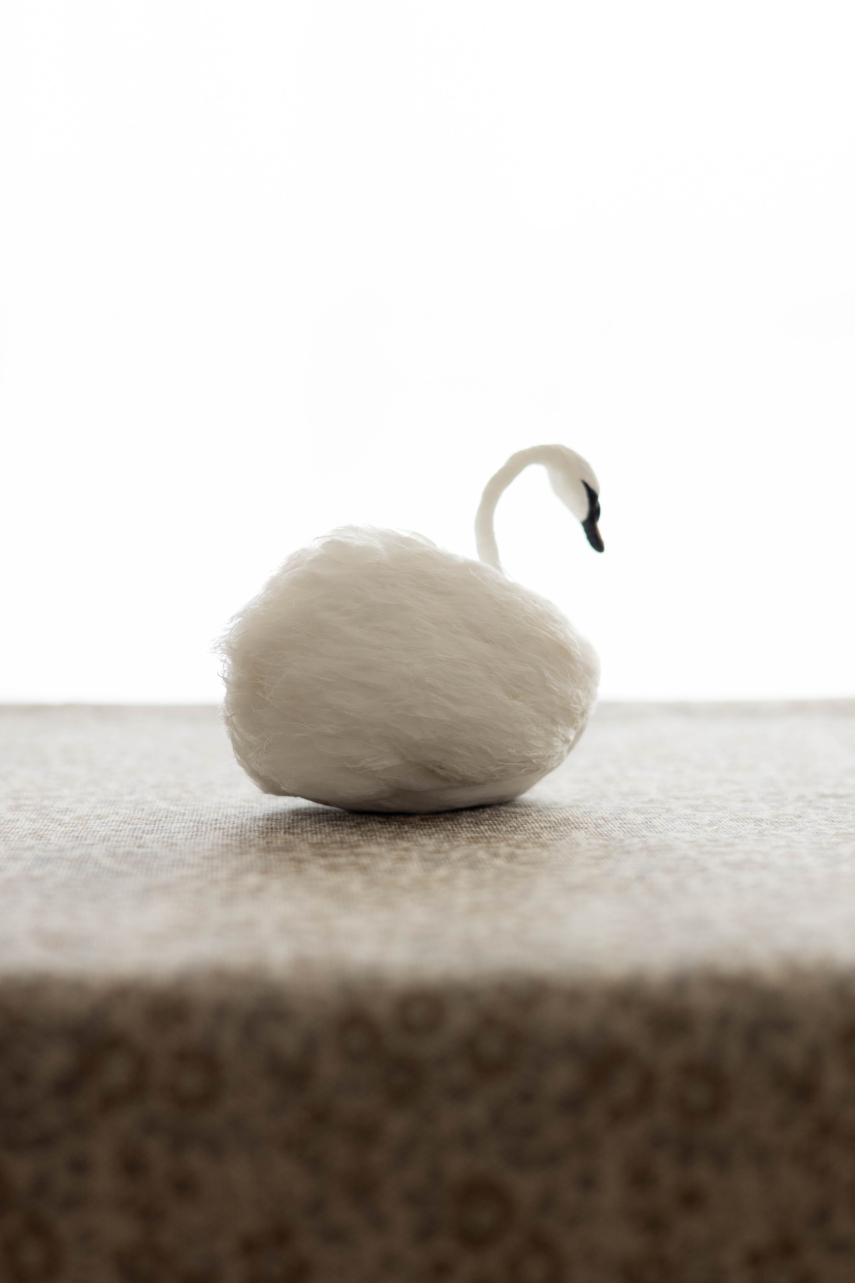 Swan No.001