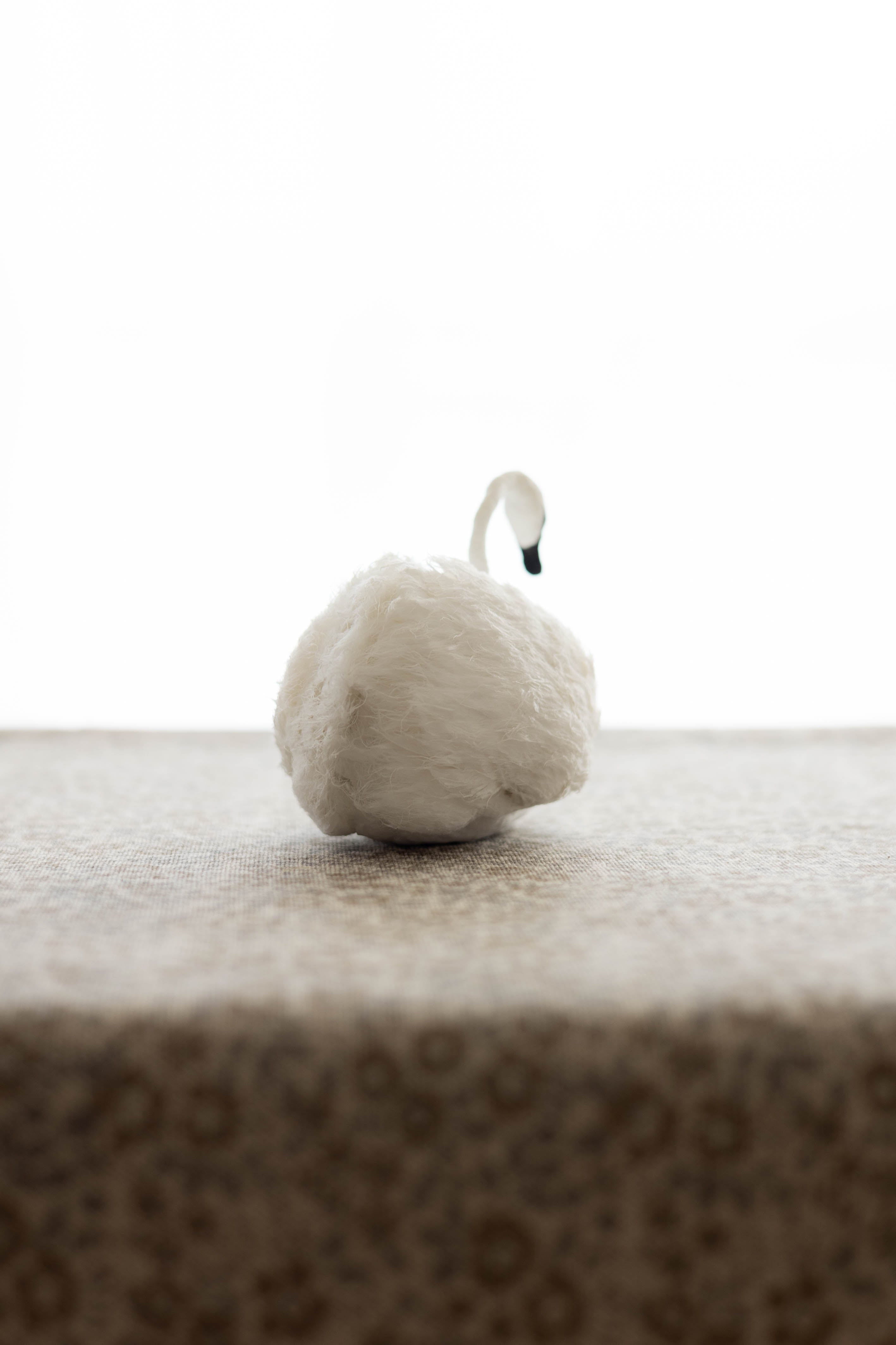 Swan No.001