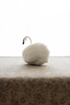 Swan No.001