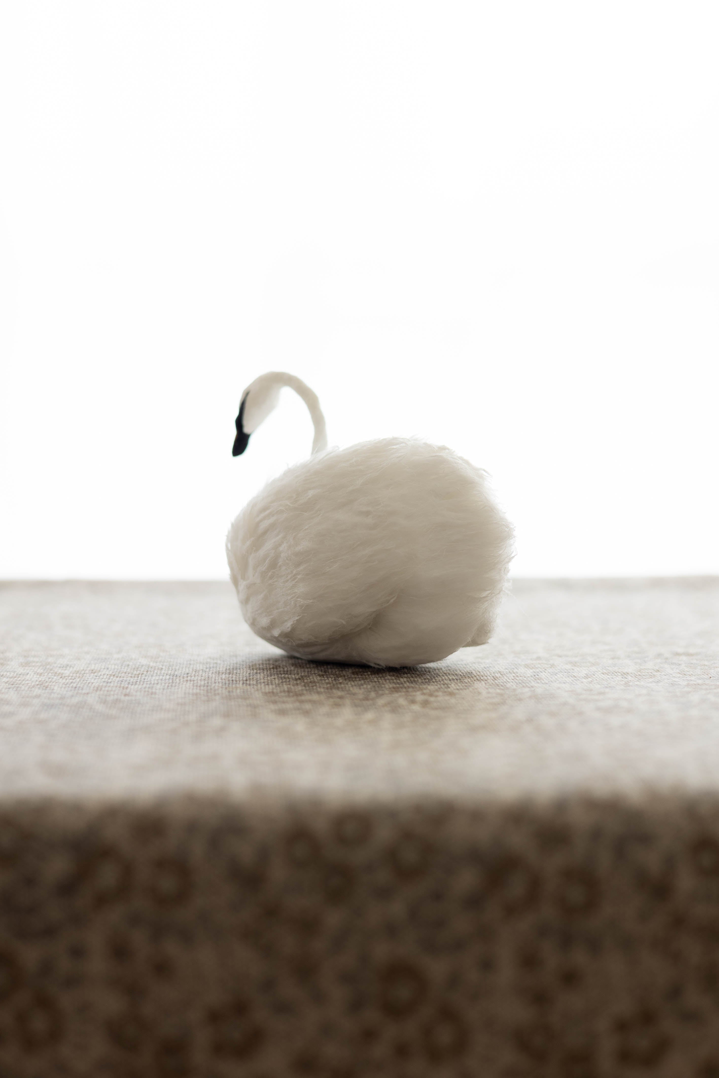 Swan No.001