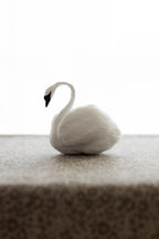 Swan No.002