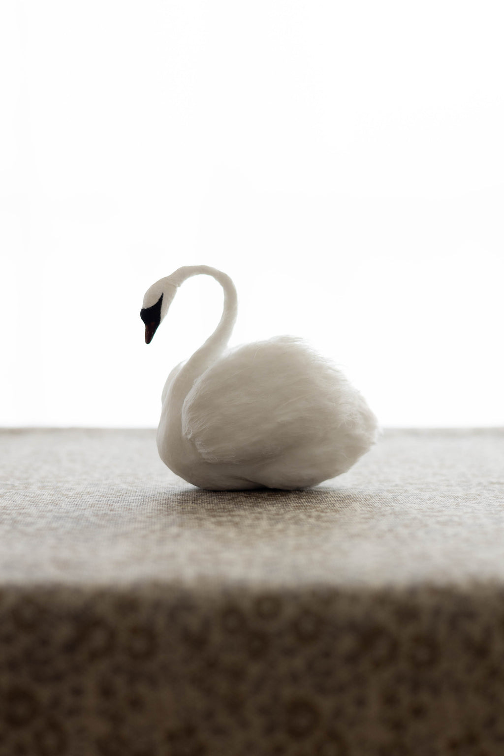 Swan No.002