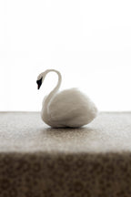 Swan No.002