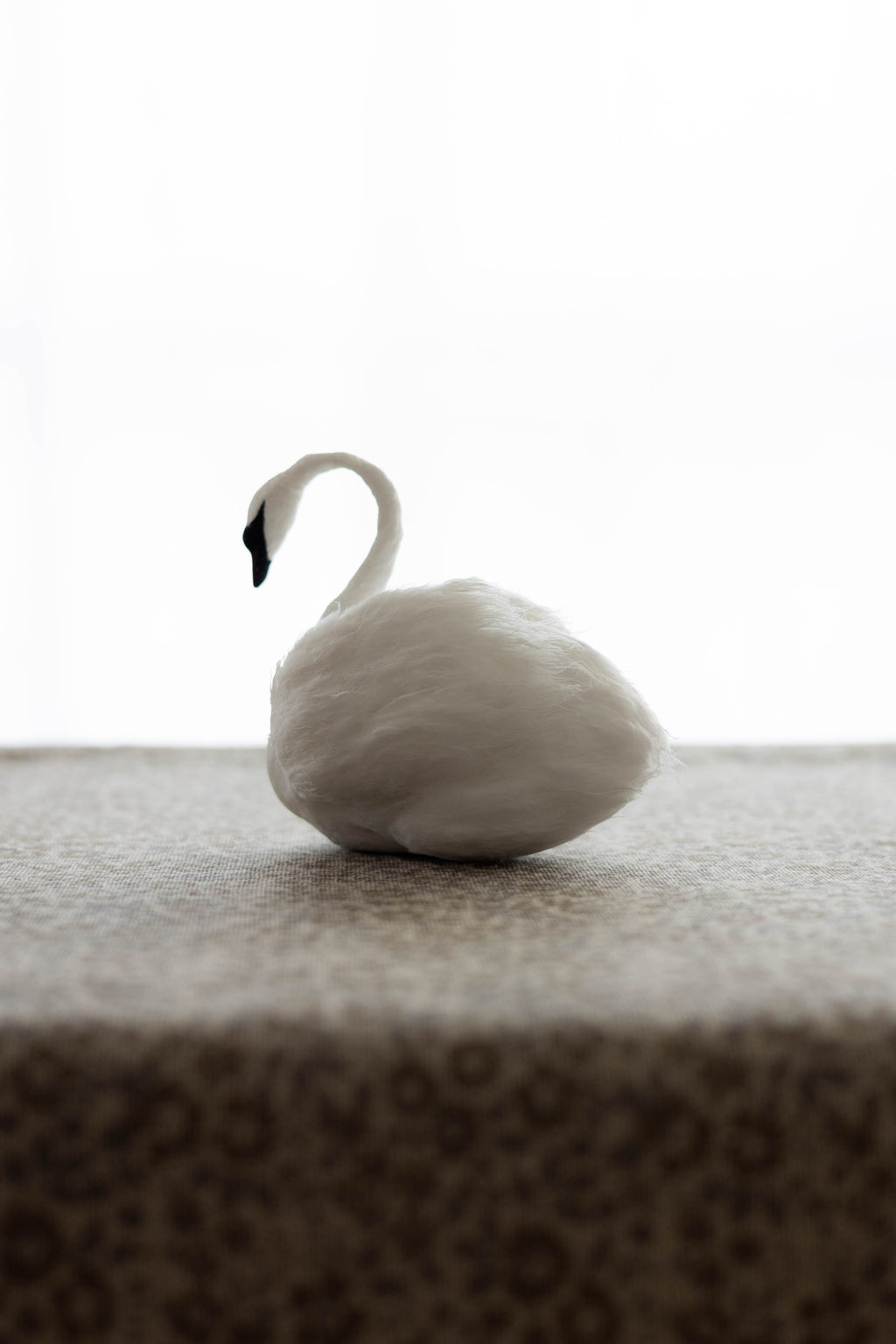 Swan No.002