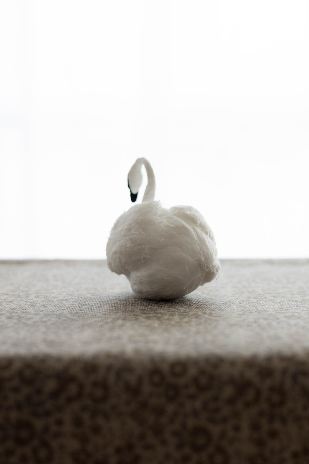 Swan No.002
