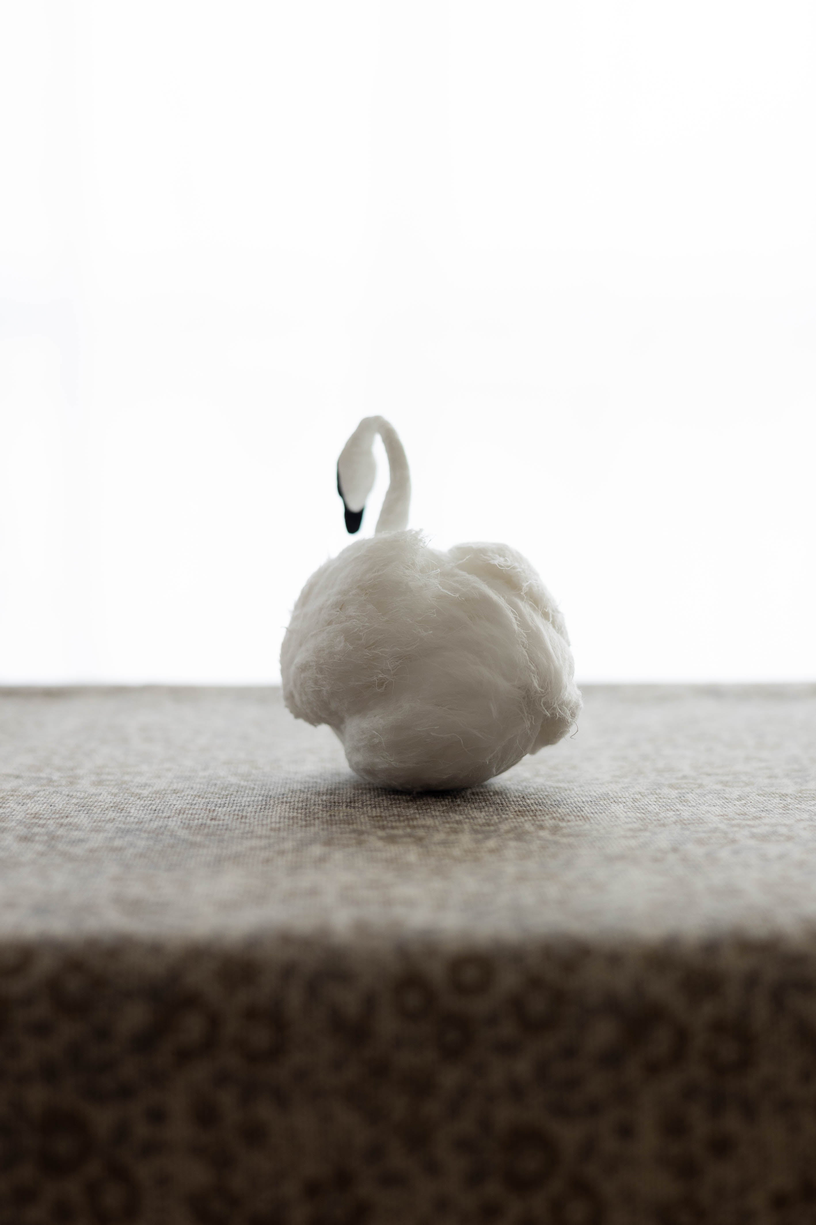 Swan No.002