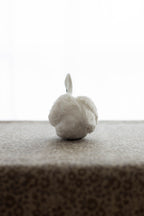 Swan No.002