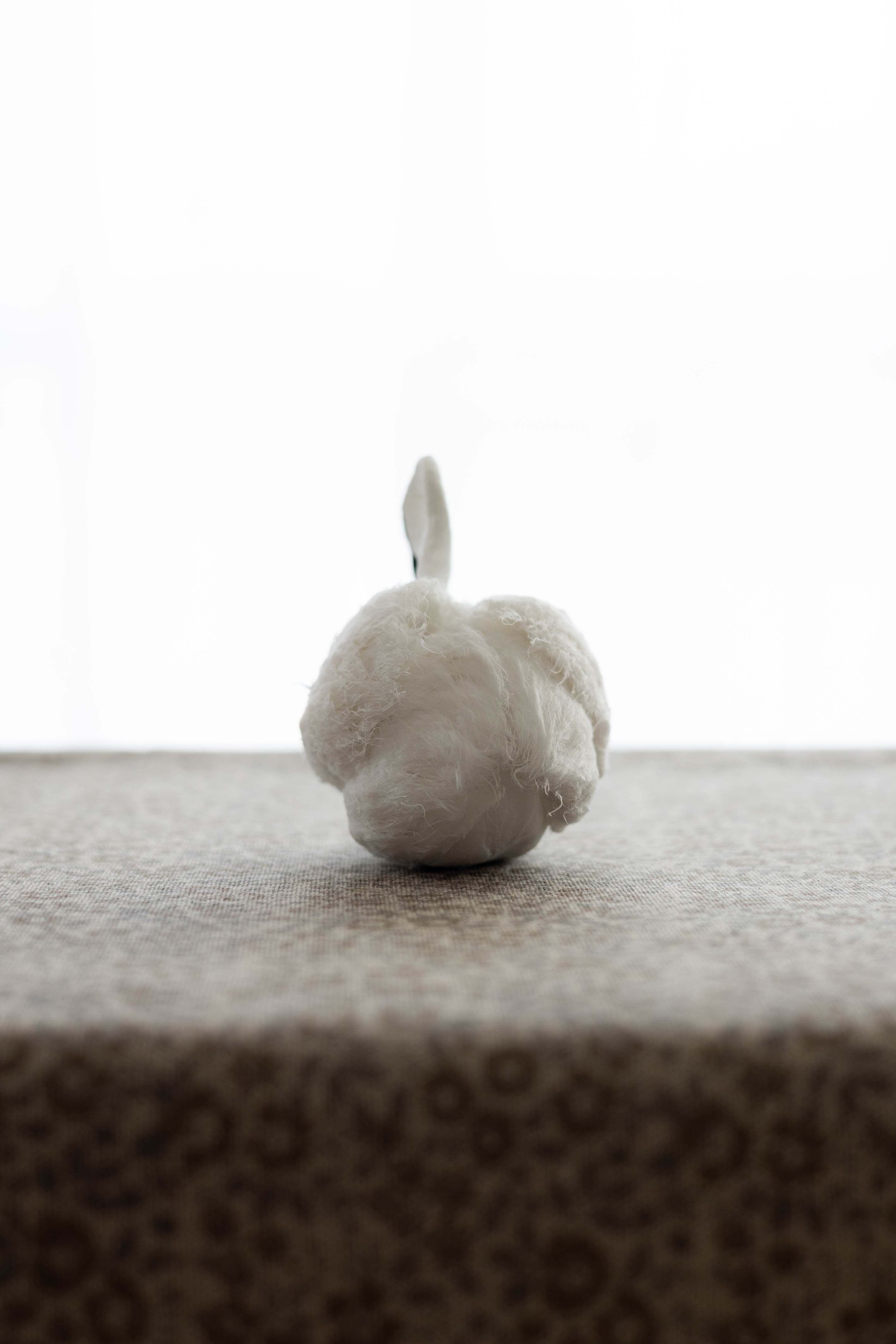 Swan No.002