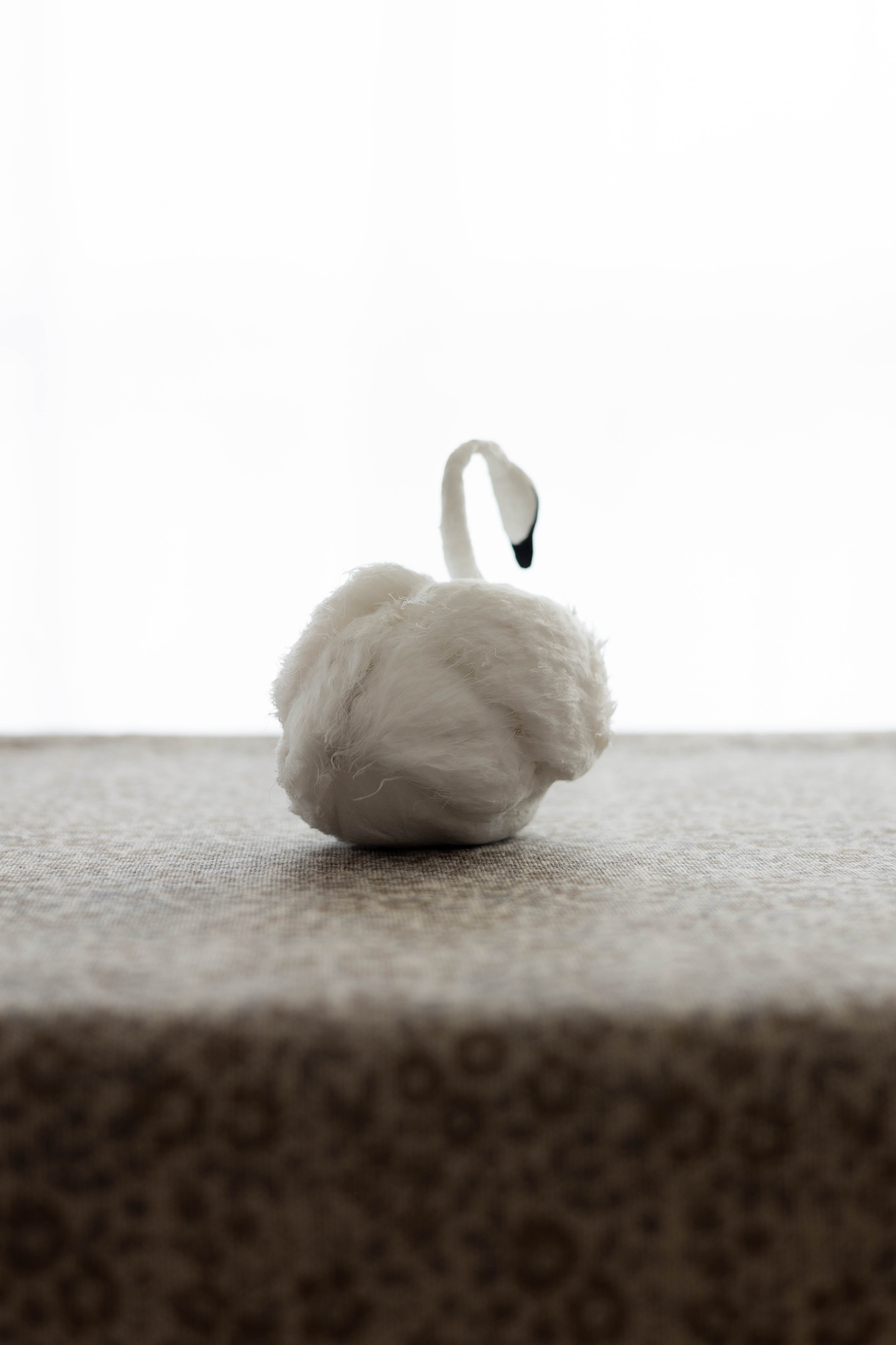 Swan No.002