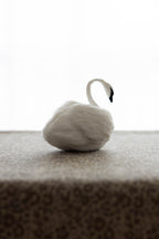 Swan No.002