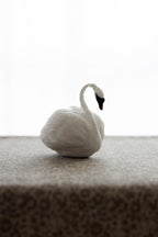 Swan No.002