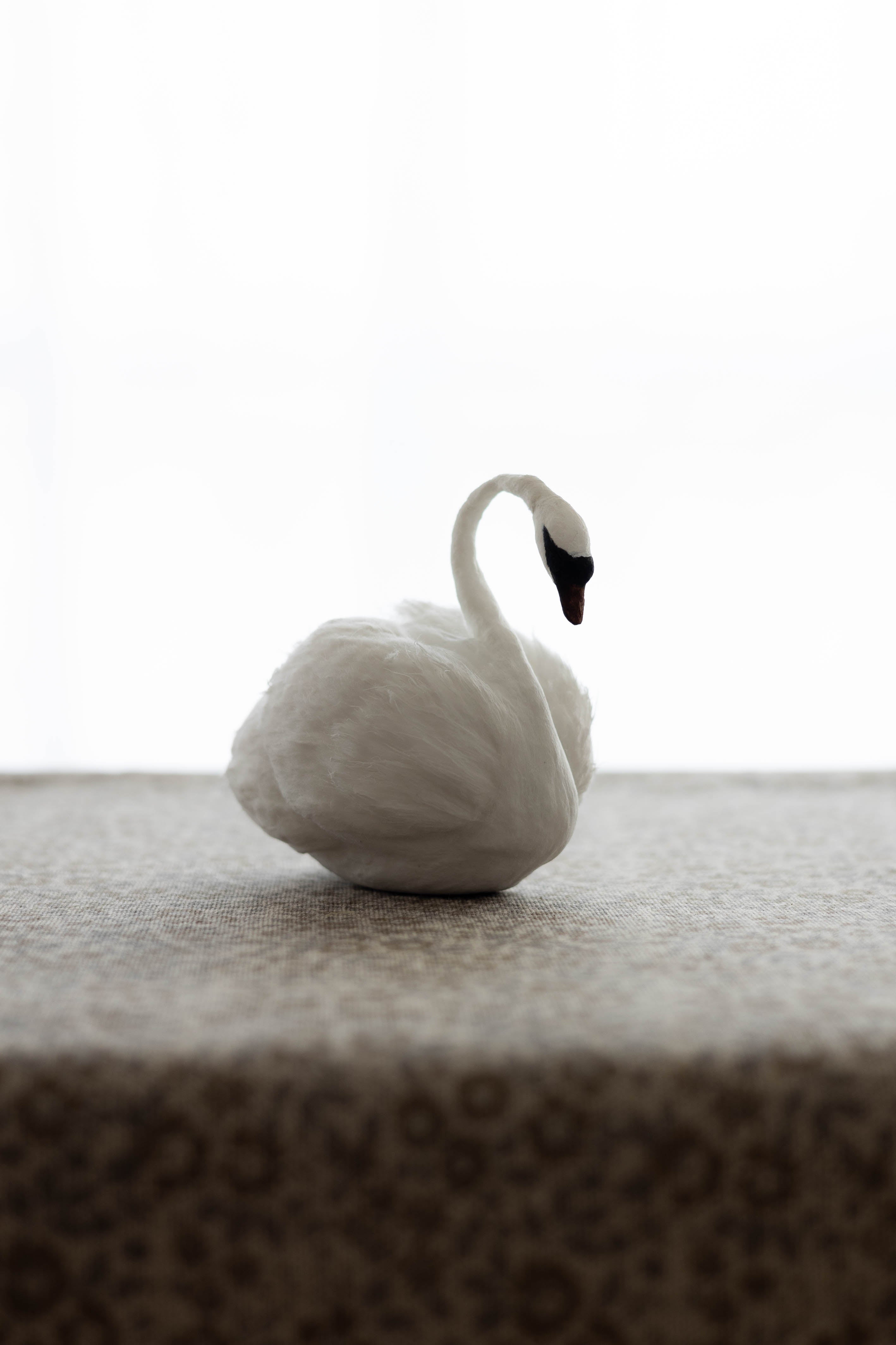 Swan No.002