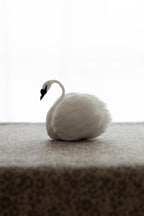 Swan No.003