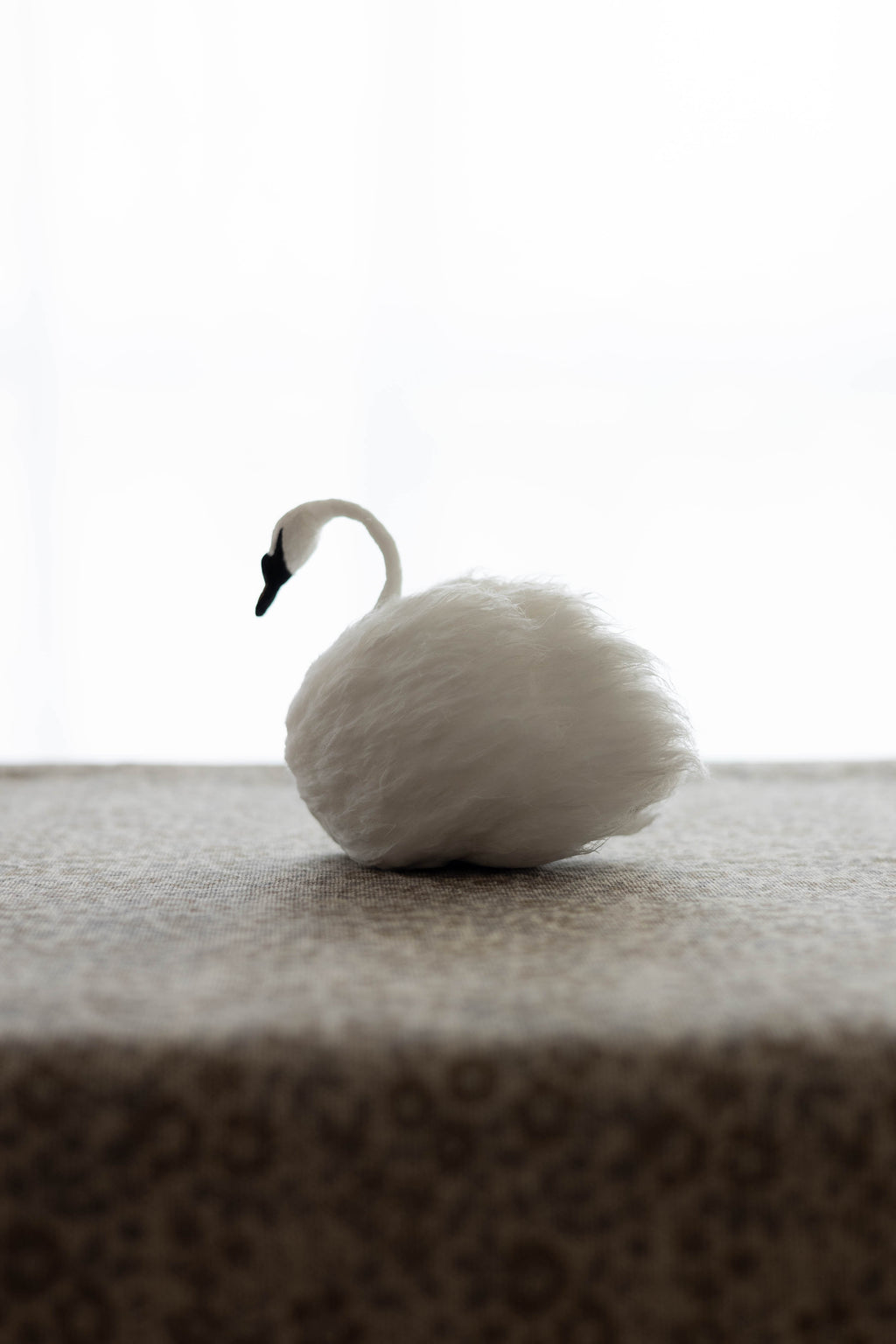 Swan No.003