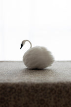 Swan No.003