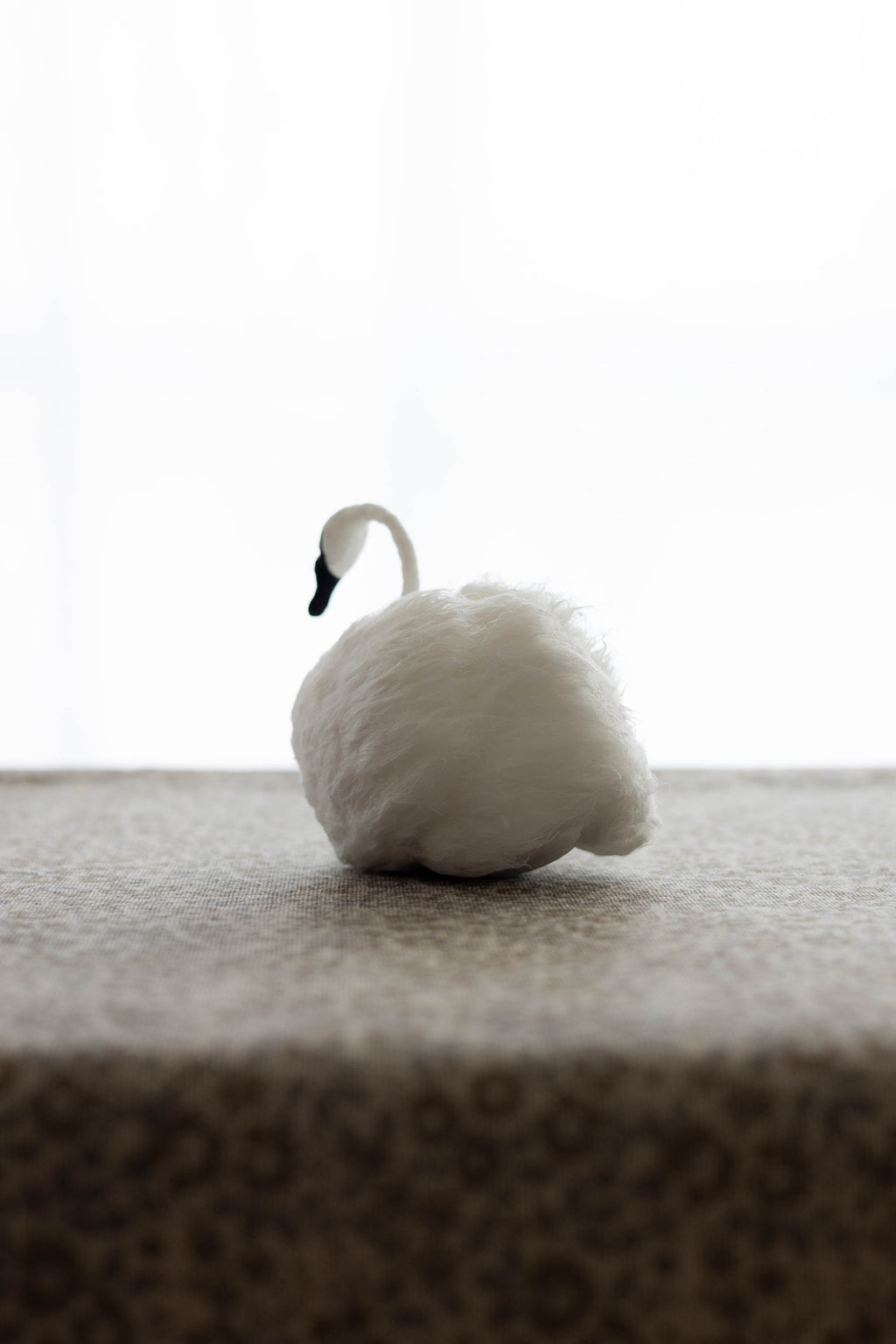 Swan No.003