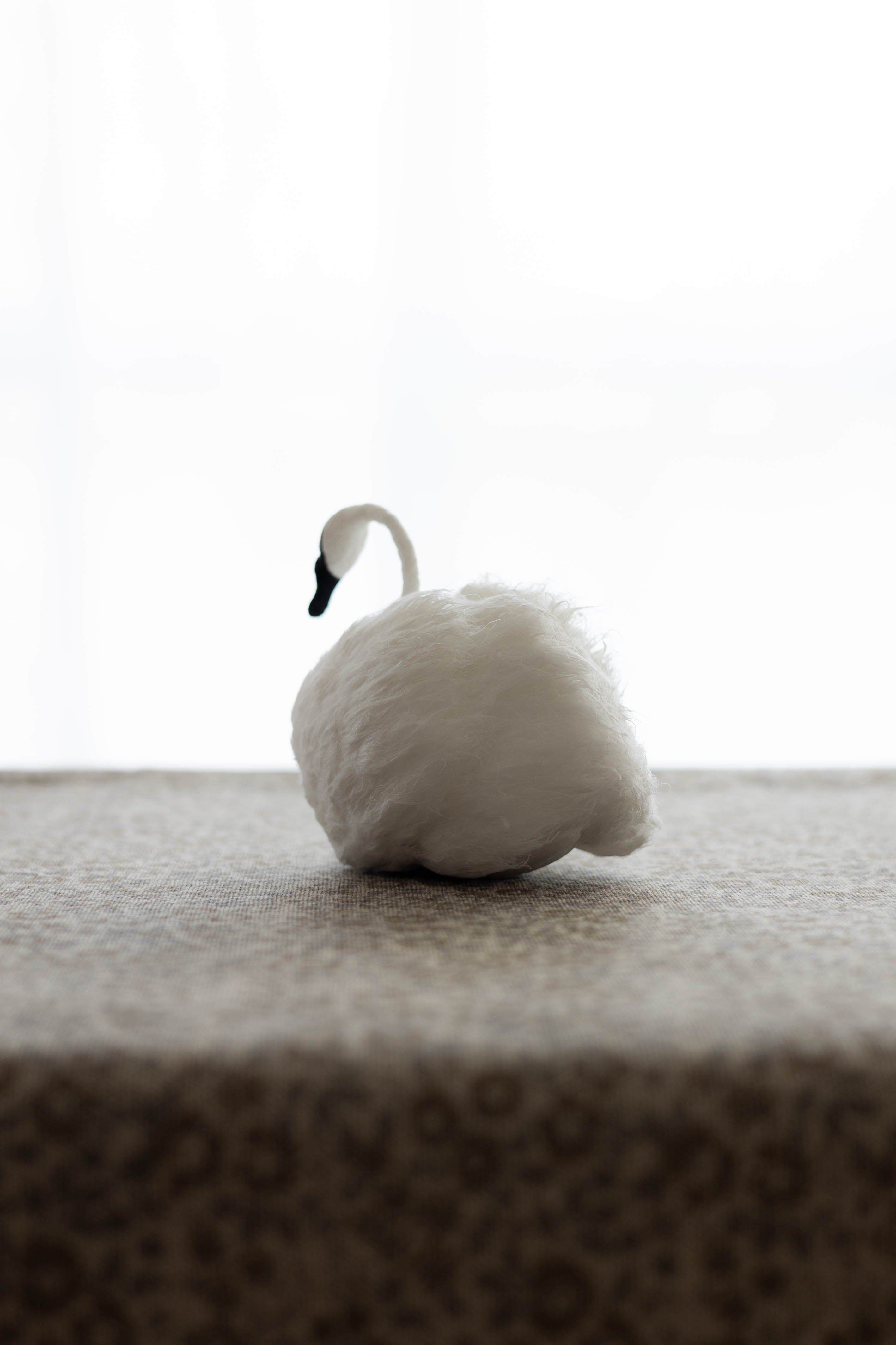 Swan No.003
