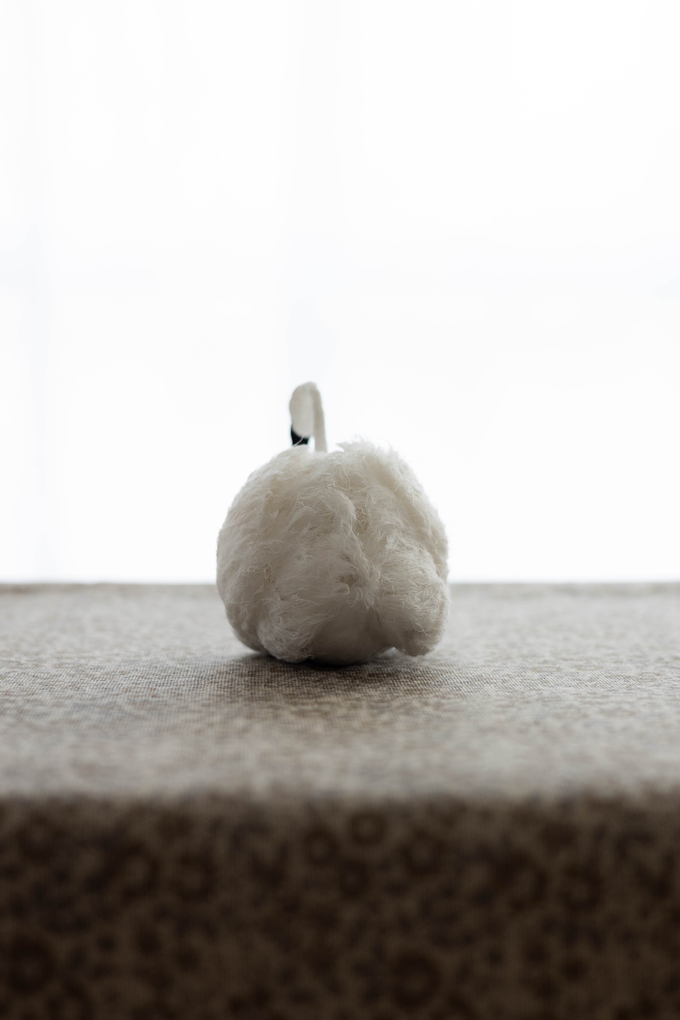 Swan No.003