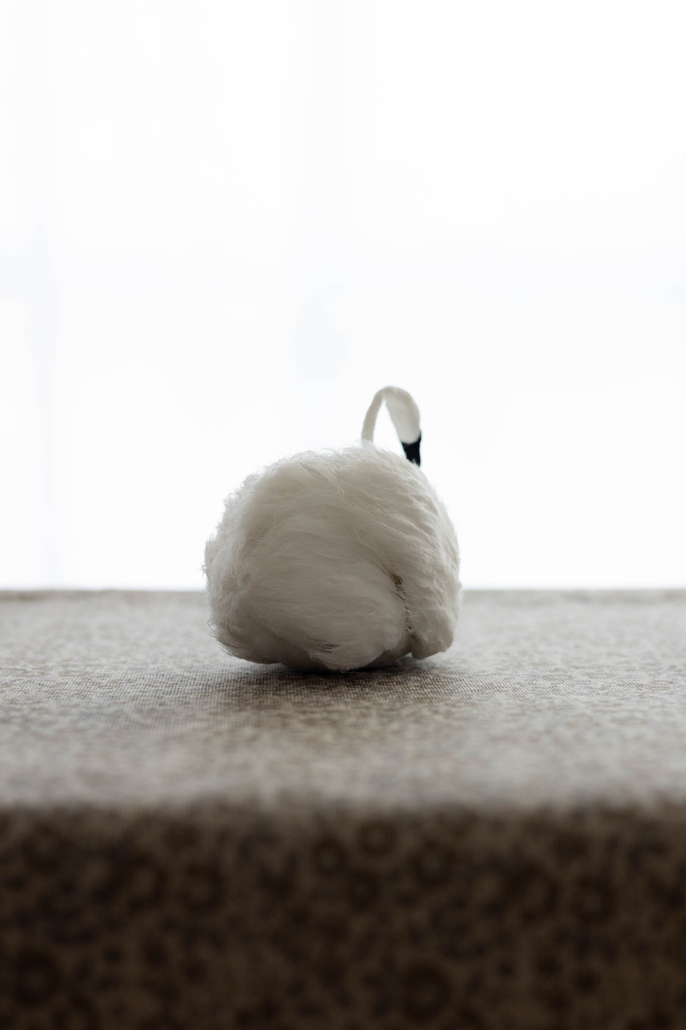 Swan No.003