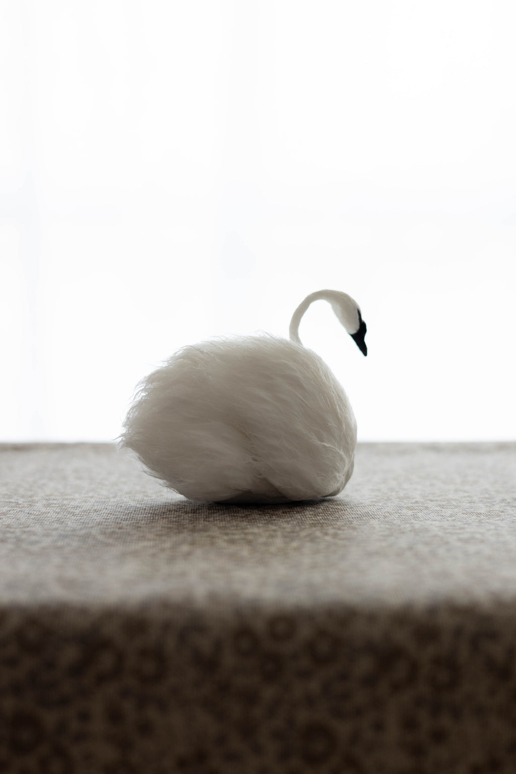 Swan No.003