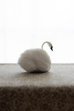 Swan No.003