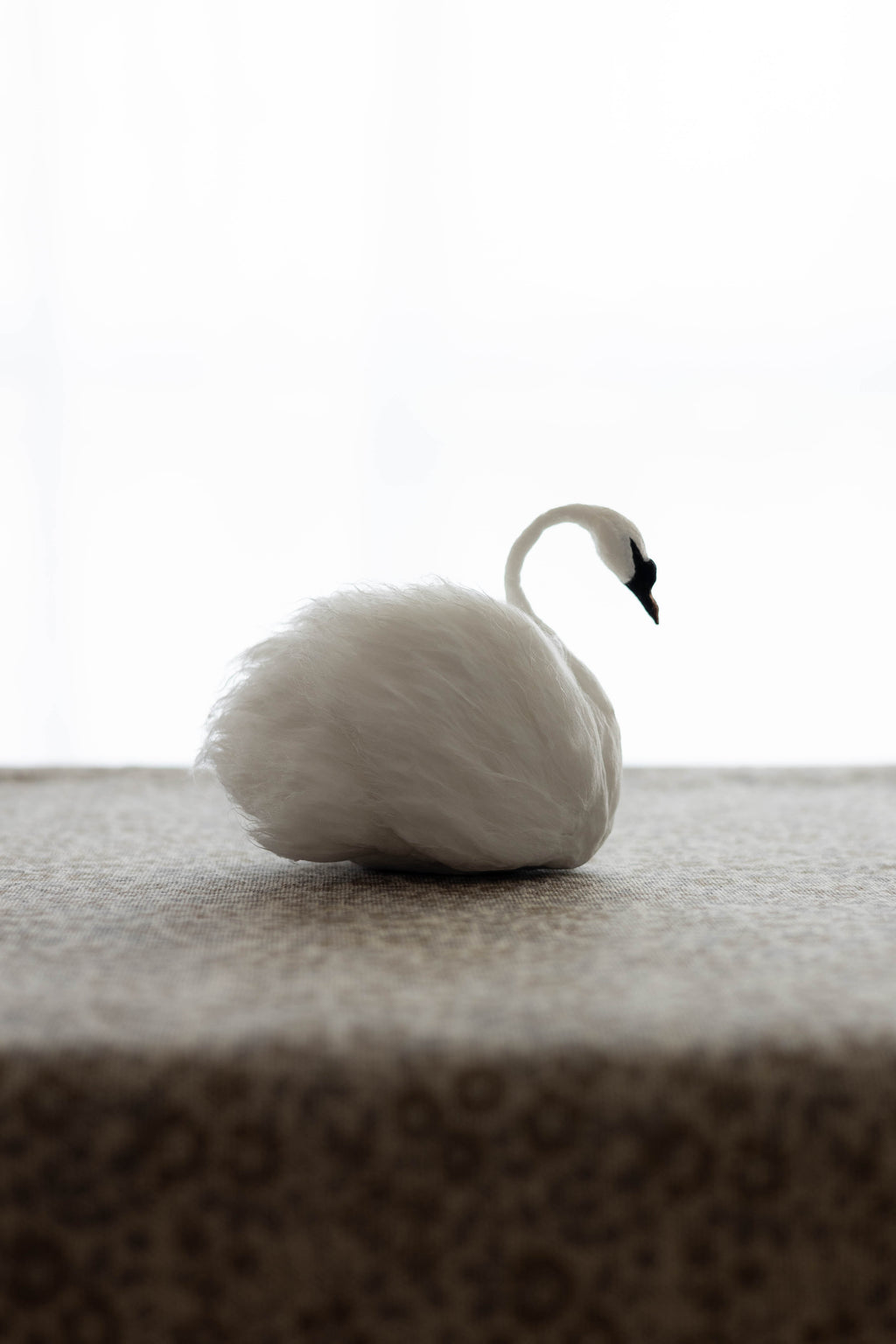 Swan No.003