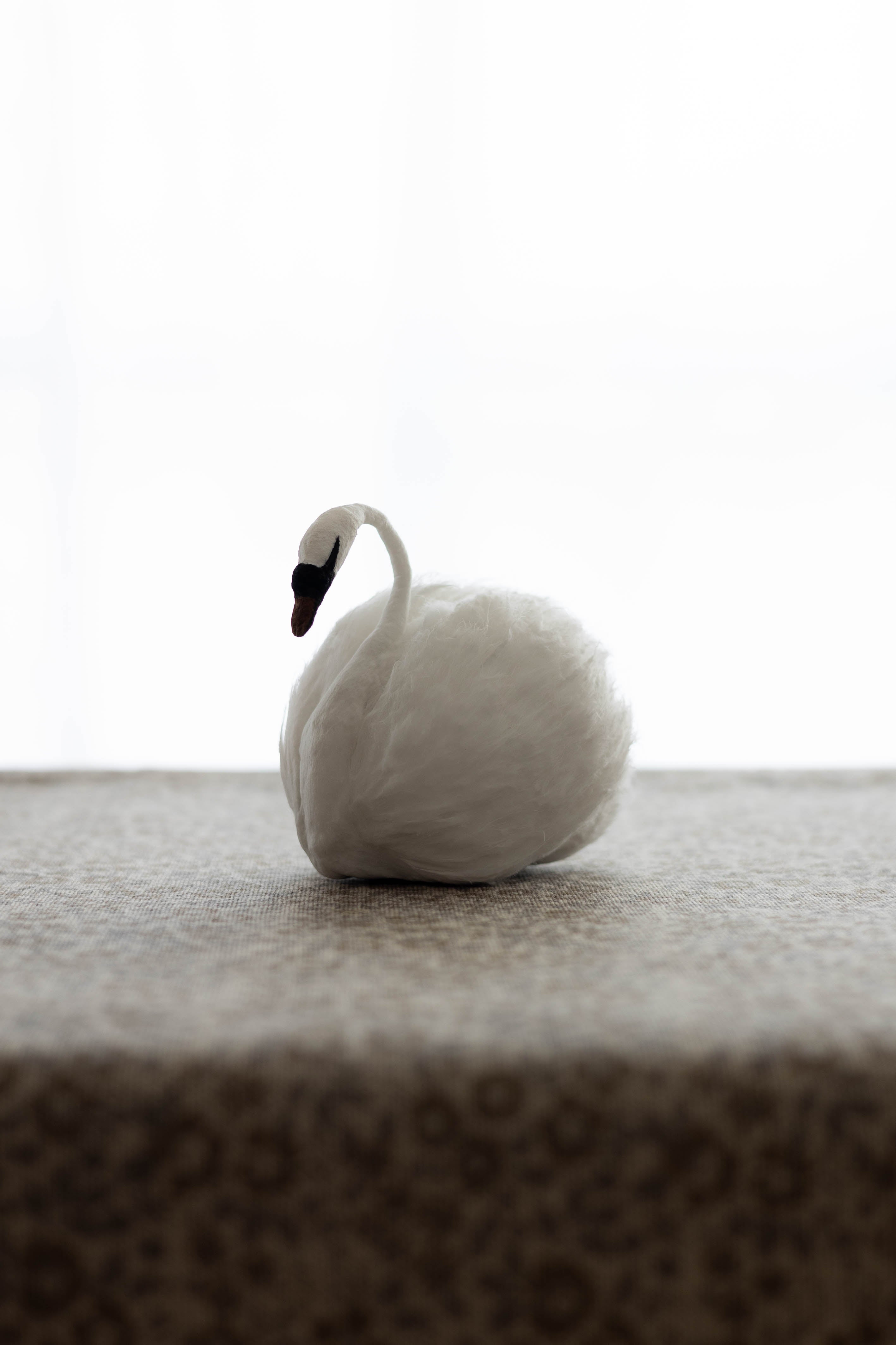 Swan No.003