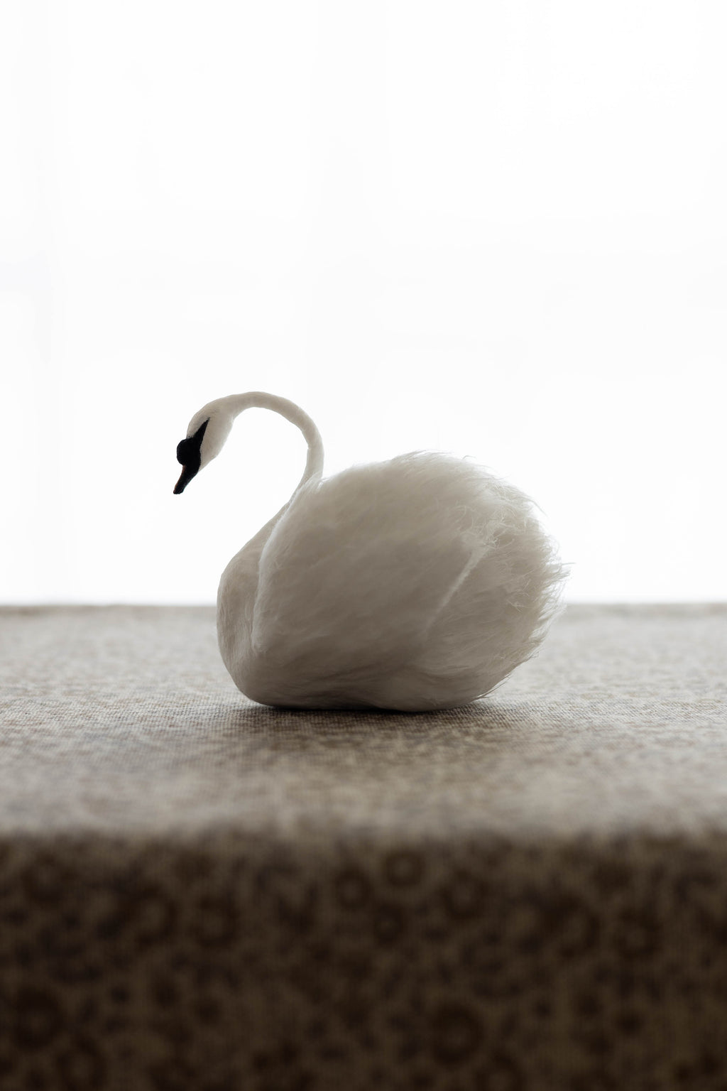 Swan No.005