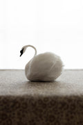Swan No.005