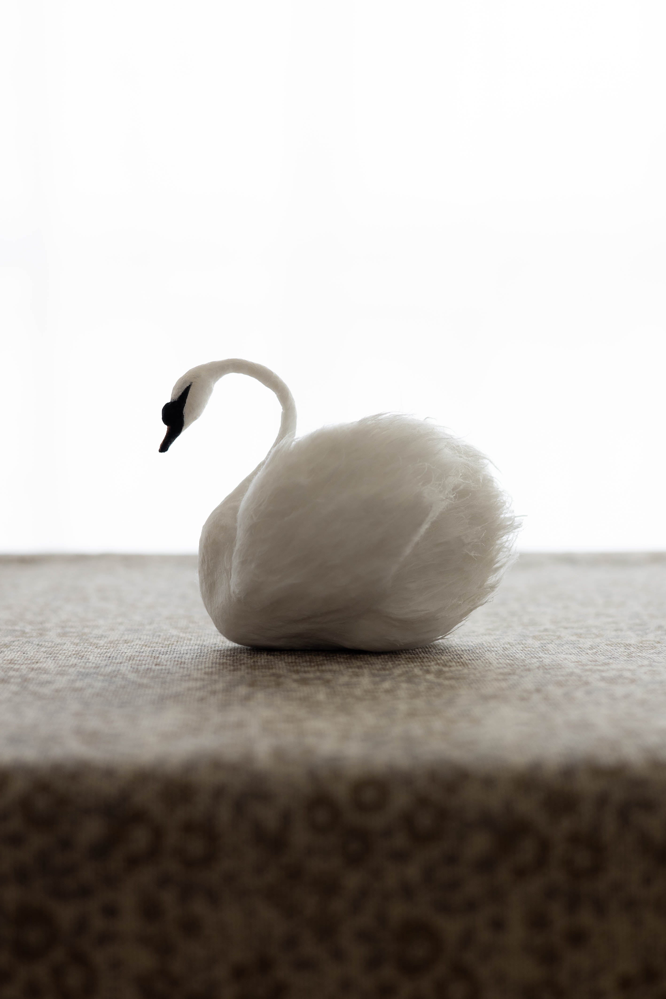 Swan No.005
