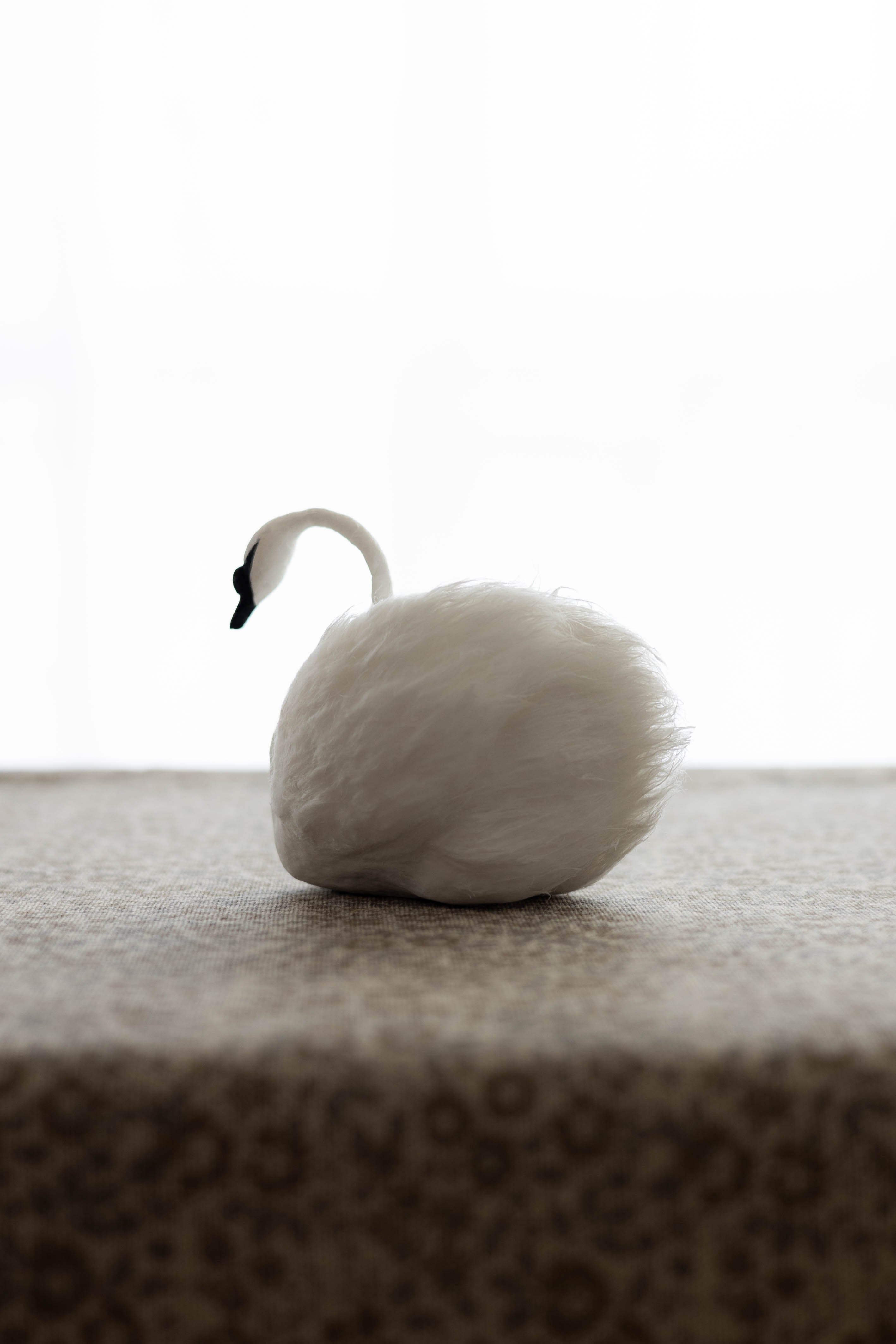Swan No.005