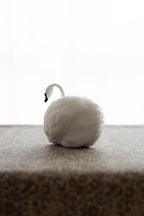 Swan No.005
