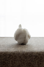 Swan No.005