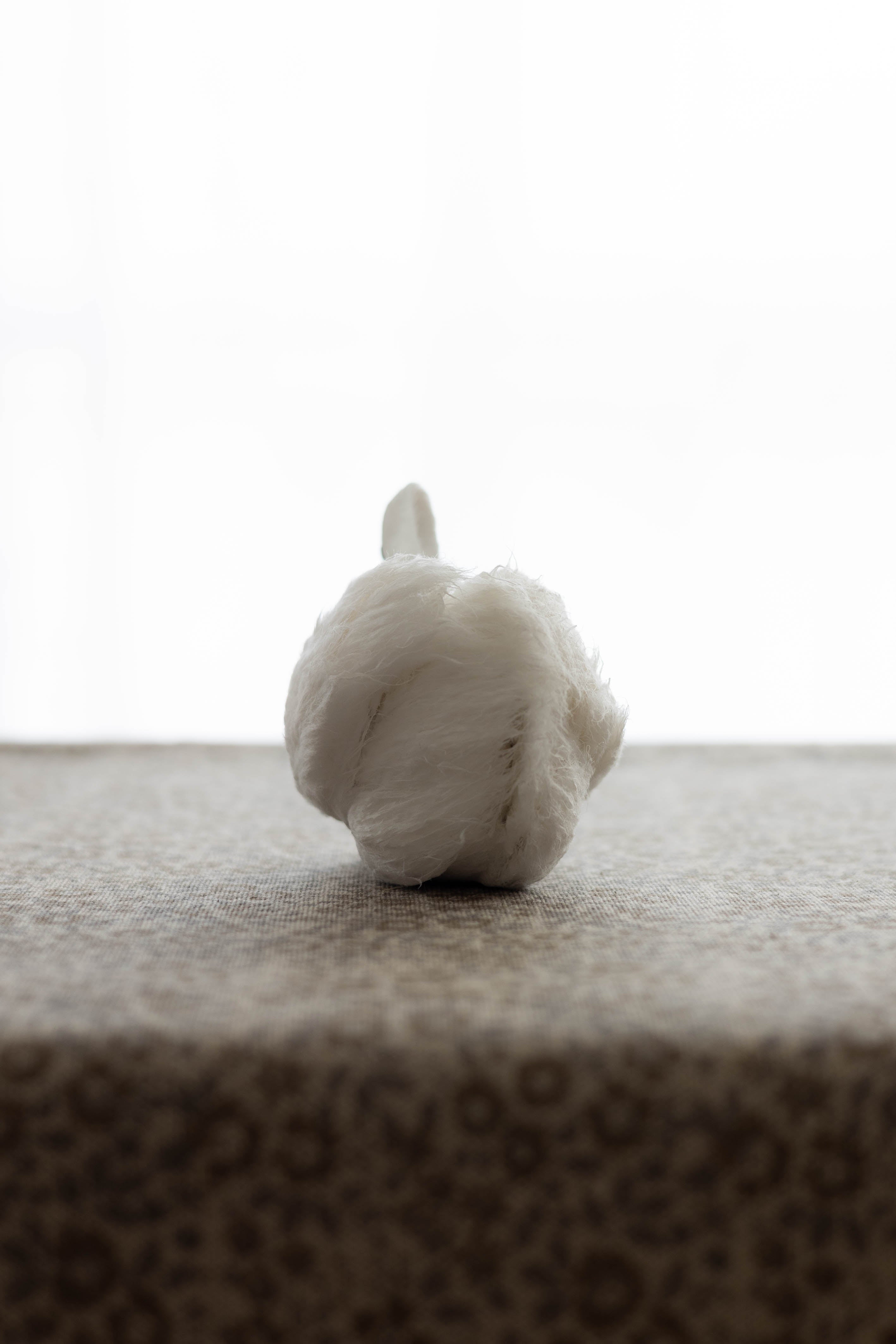 Swan No.005