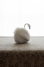 Swan No.005