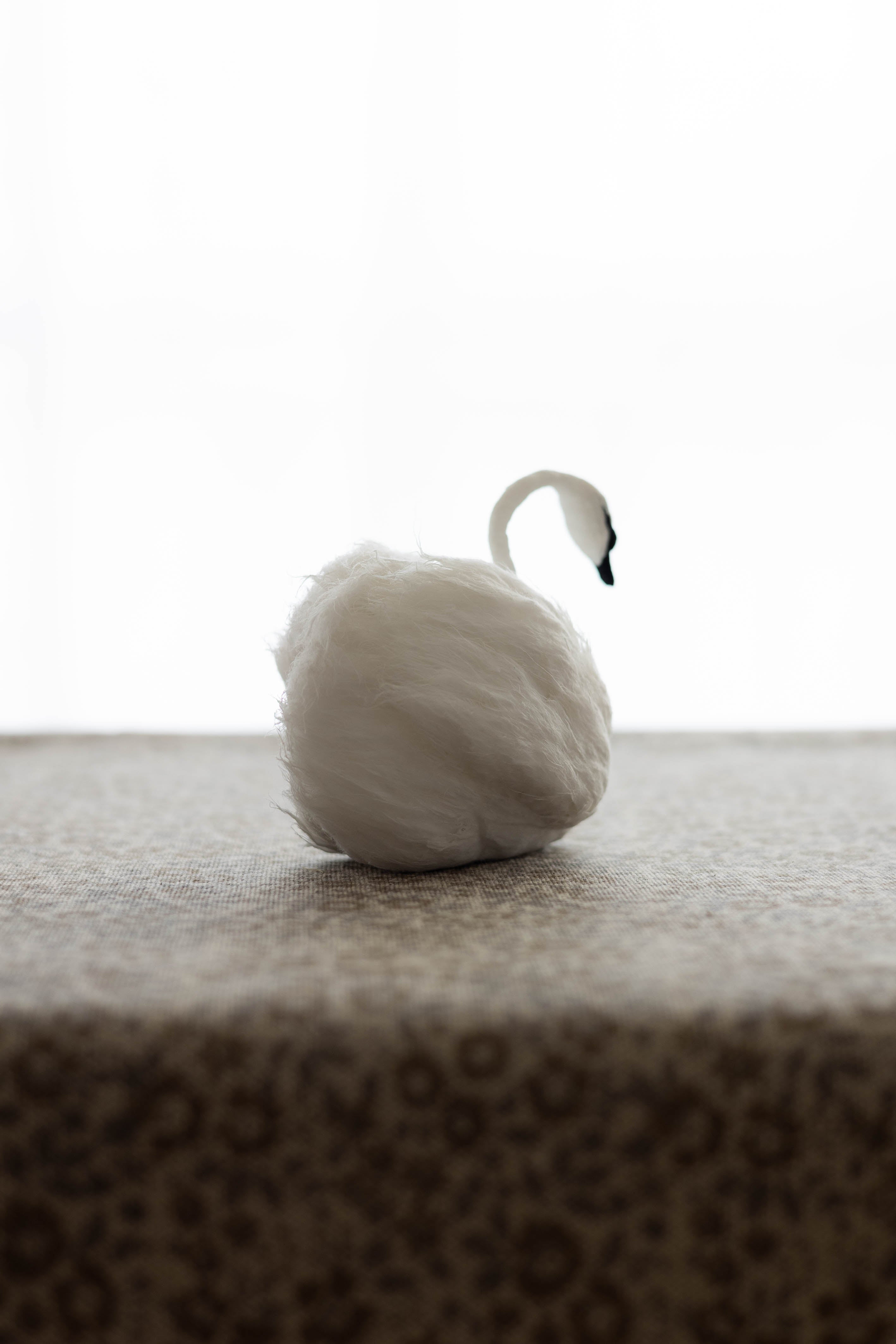Swan No.005