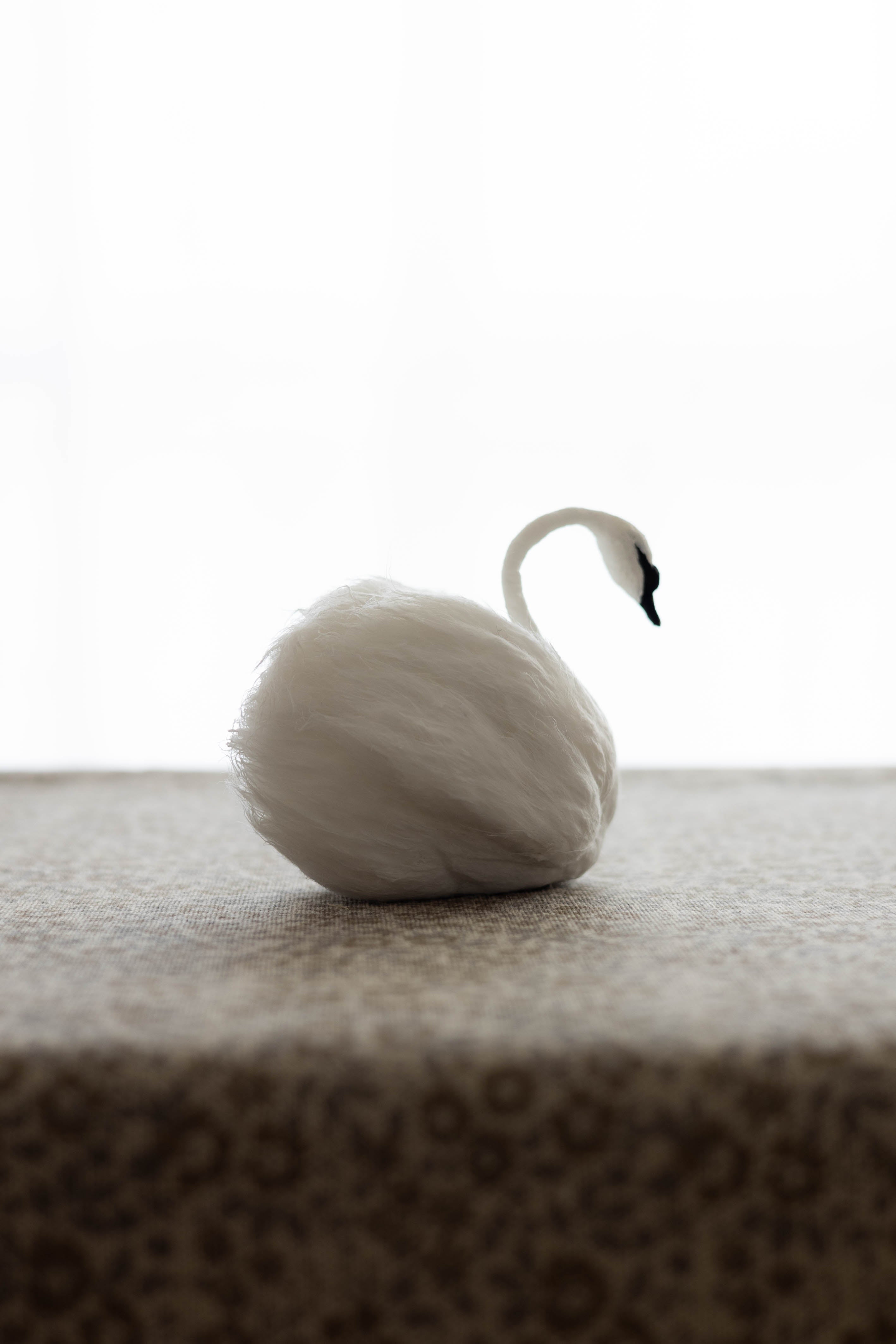 Swan No.005