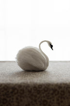 Swan No.005