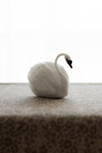 Swan No.005