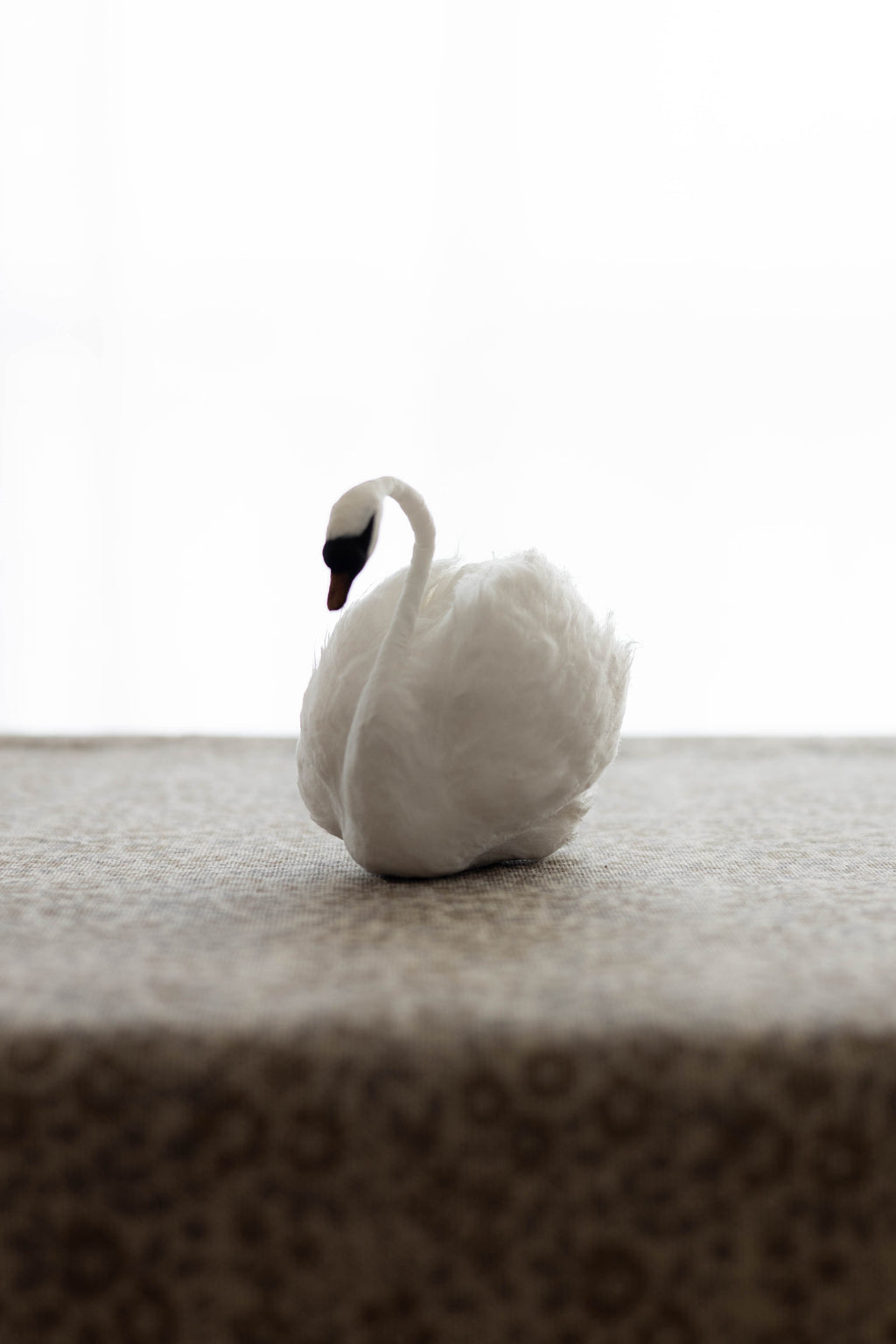 Swan No.005