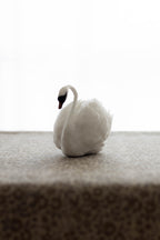 Swan No.005