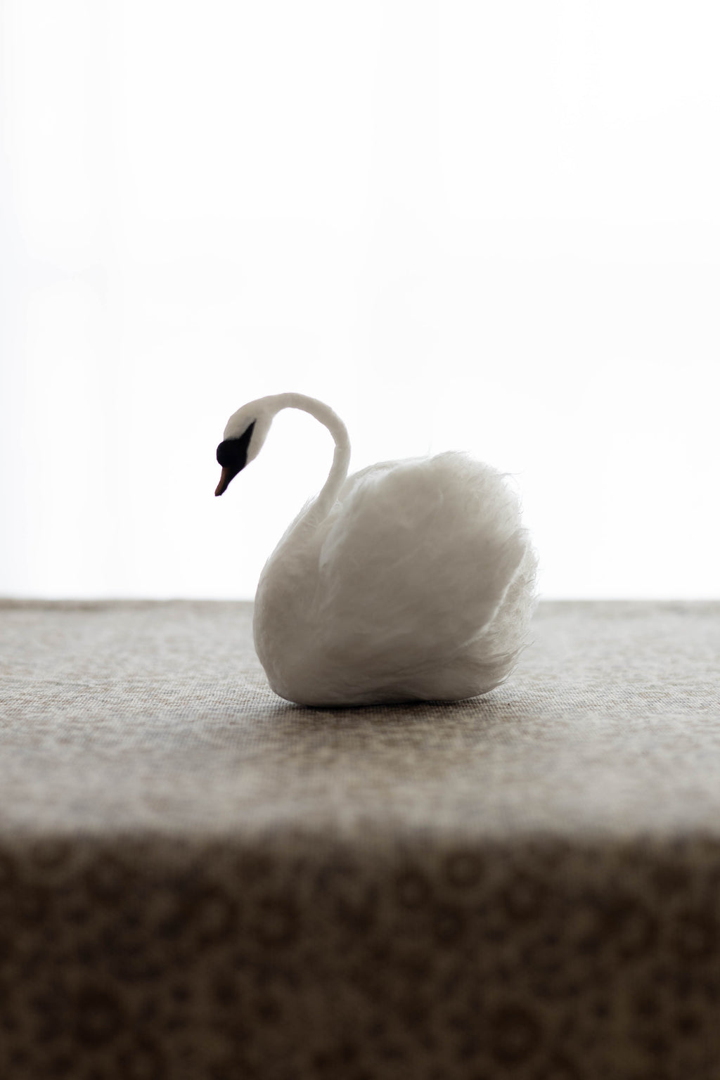 Swan No.005