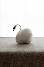 Swan No.005