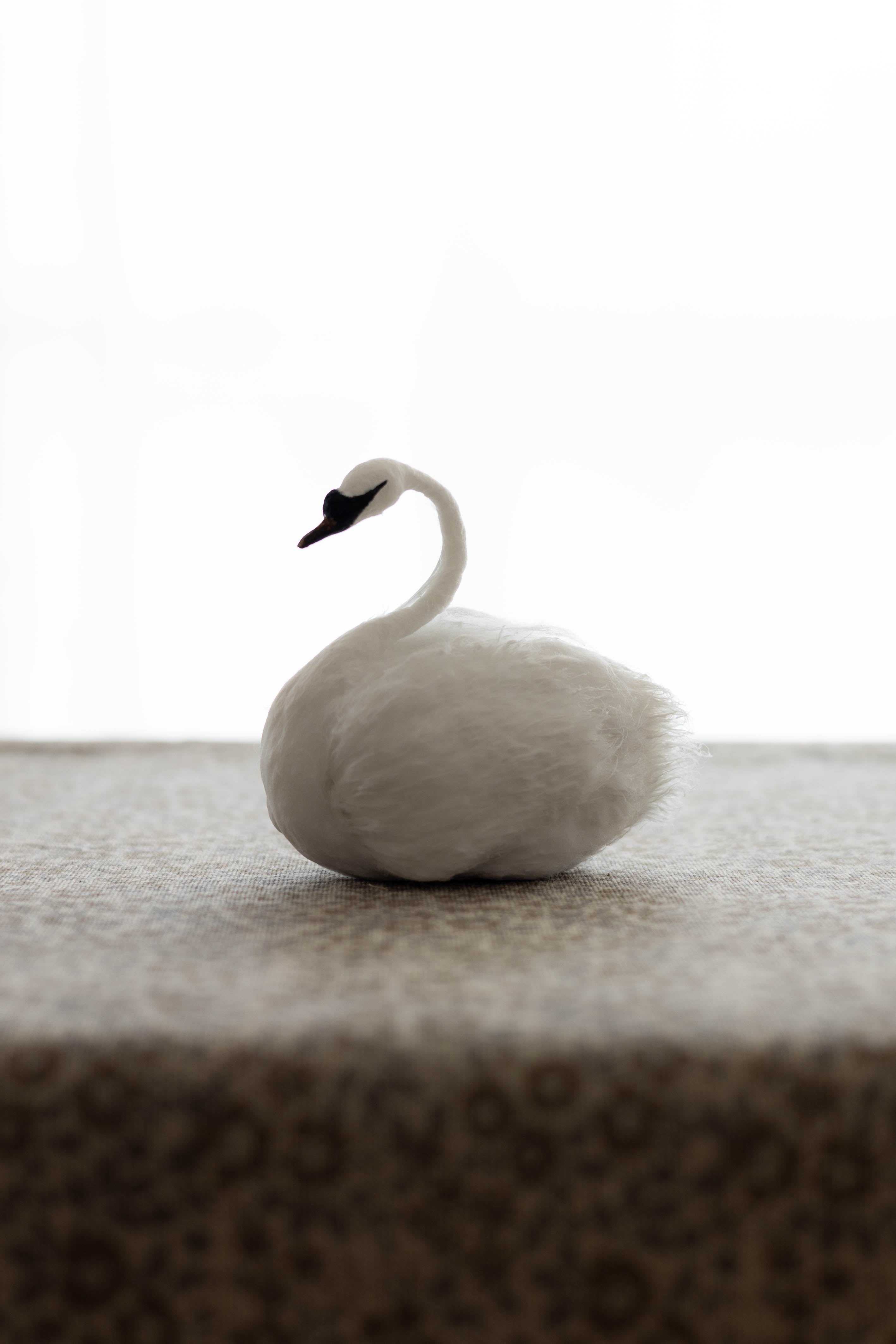 Swan No.006
