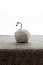 Swan No.006